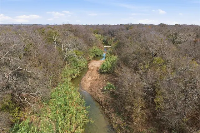 a view of a forest with mountains in the background