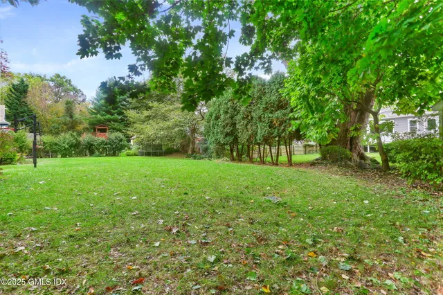 a view of green field with trees in the background