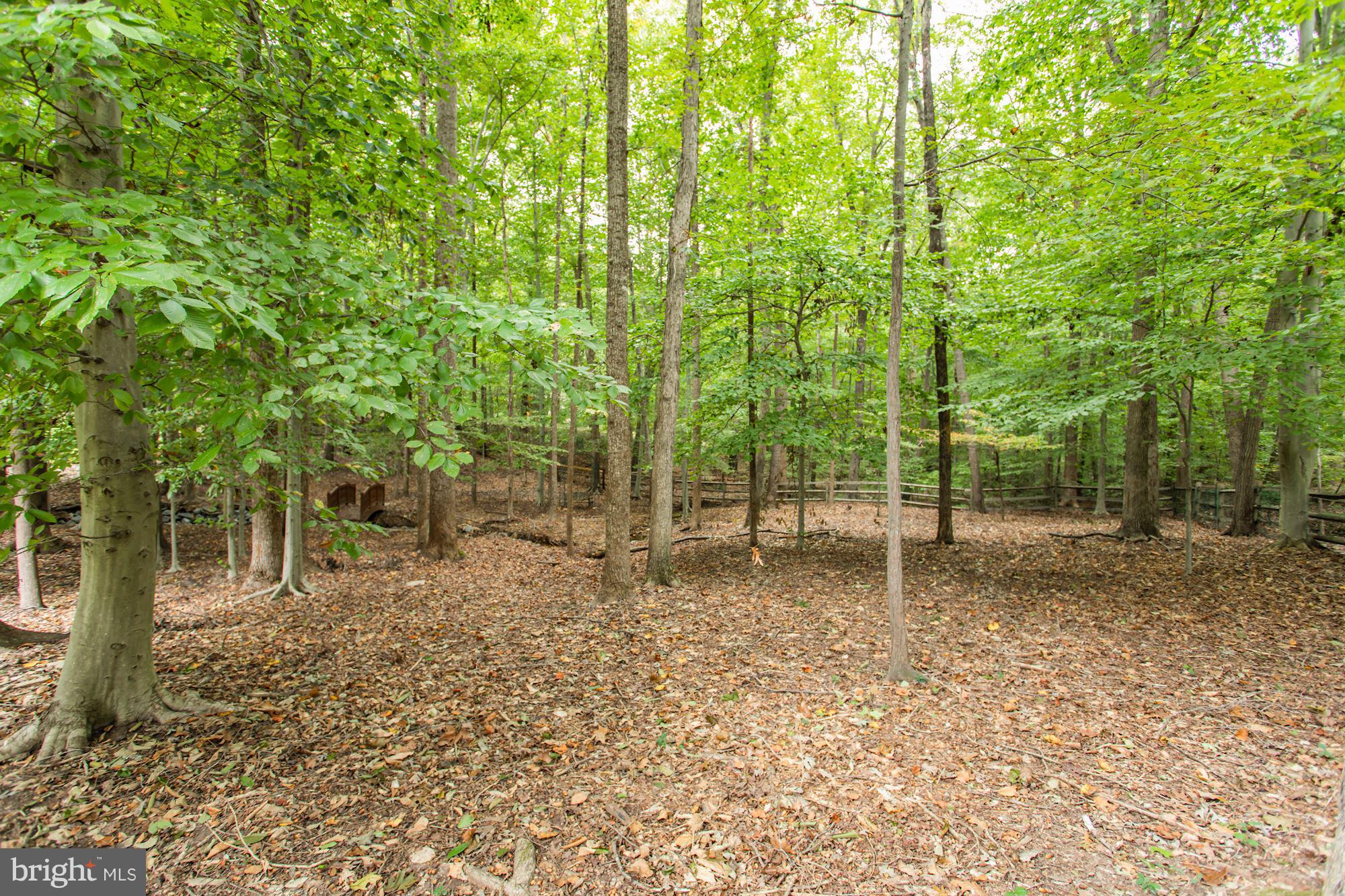 7882 Pembridge Road Manassas, VA 20112 - Photo 30 of 30 .74 Acre Treed and Fenced Lot / Semi-Private