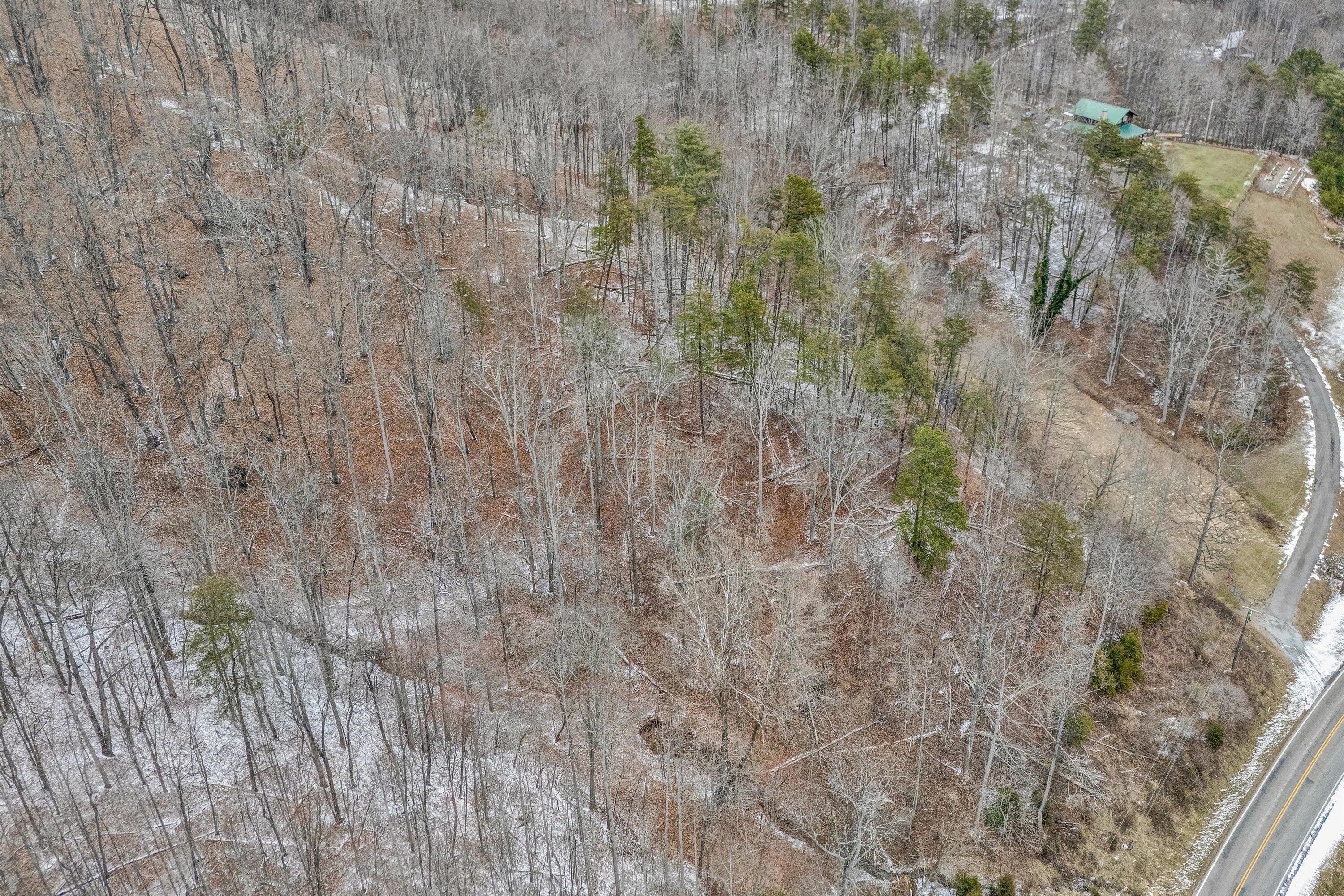 533 Coopers Cove Road Hardy, VA 24101 - Photo 4 of 9 a close up of a plant in a field