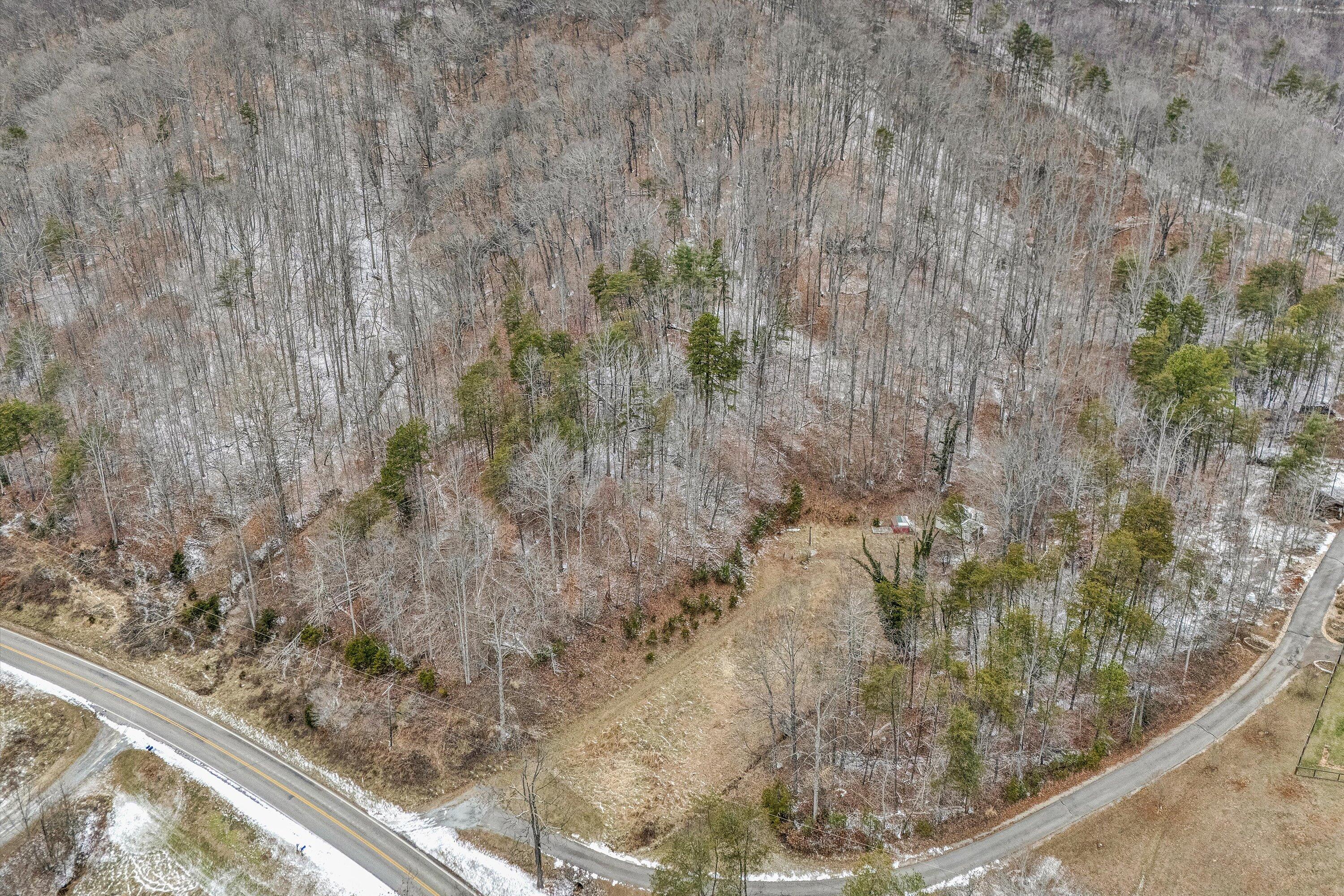 533 Coopers Cove Road Hardy, VA 24101 - Photo 8 of 9 a view of a forest from a window