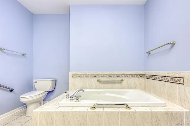 a bathroom with a bathtub and a toilet