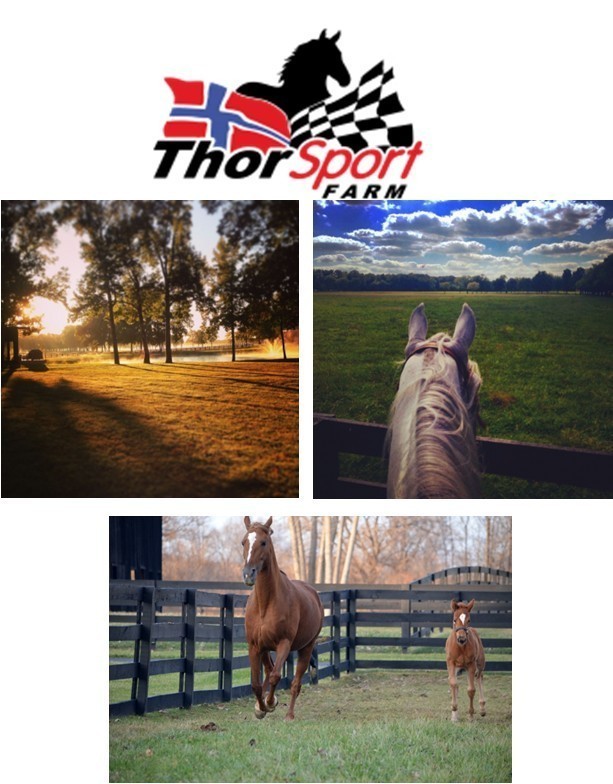 3880 Barfield Crescent Road Murfreesboro, TN 37128 - Photo 25 of 26