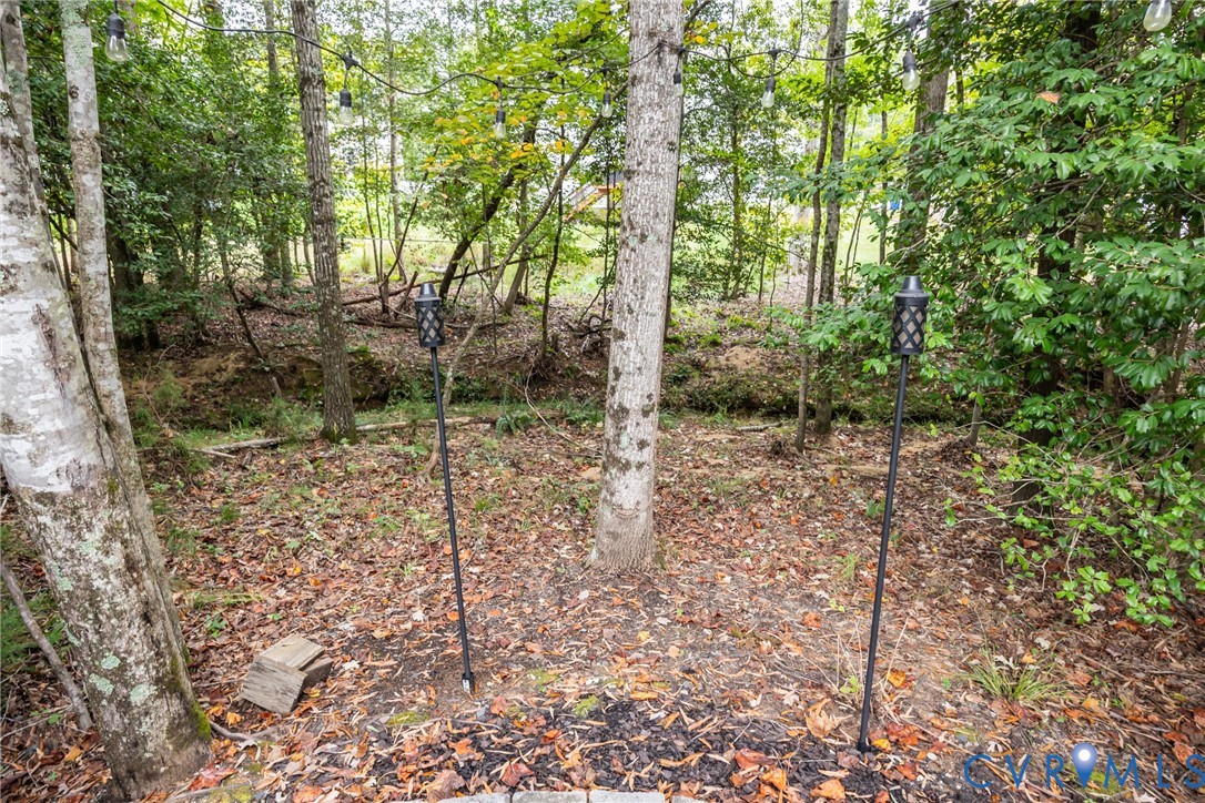 15206 Blackrail Road Chesterfield, VA 23832 - Photo 13 of 50 a view of a forest filled with trees