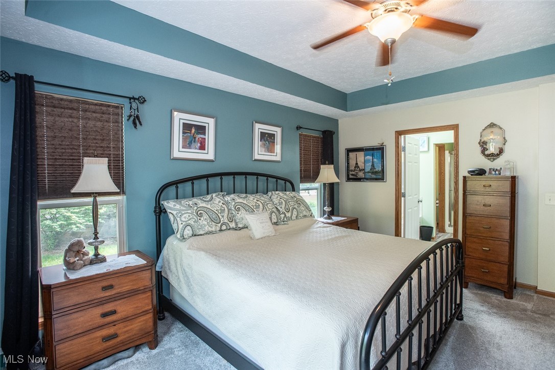 126 Timber Ridge Drive Elyria, OH 44035 - Photo 27 of 49 Bedroom with carpet, multiple windows, baseboards, a textured ceiling, and ceiling fan
