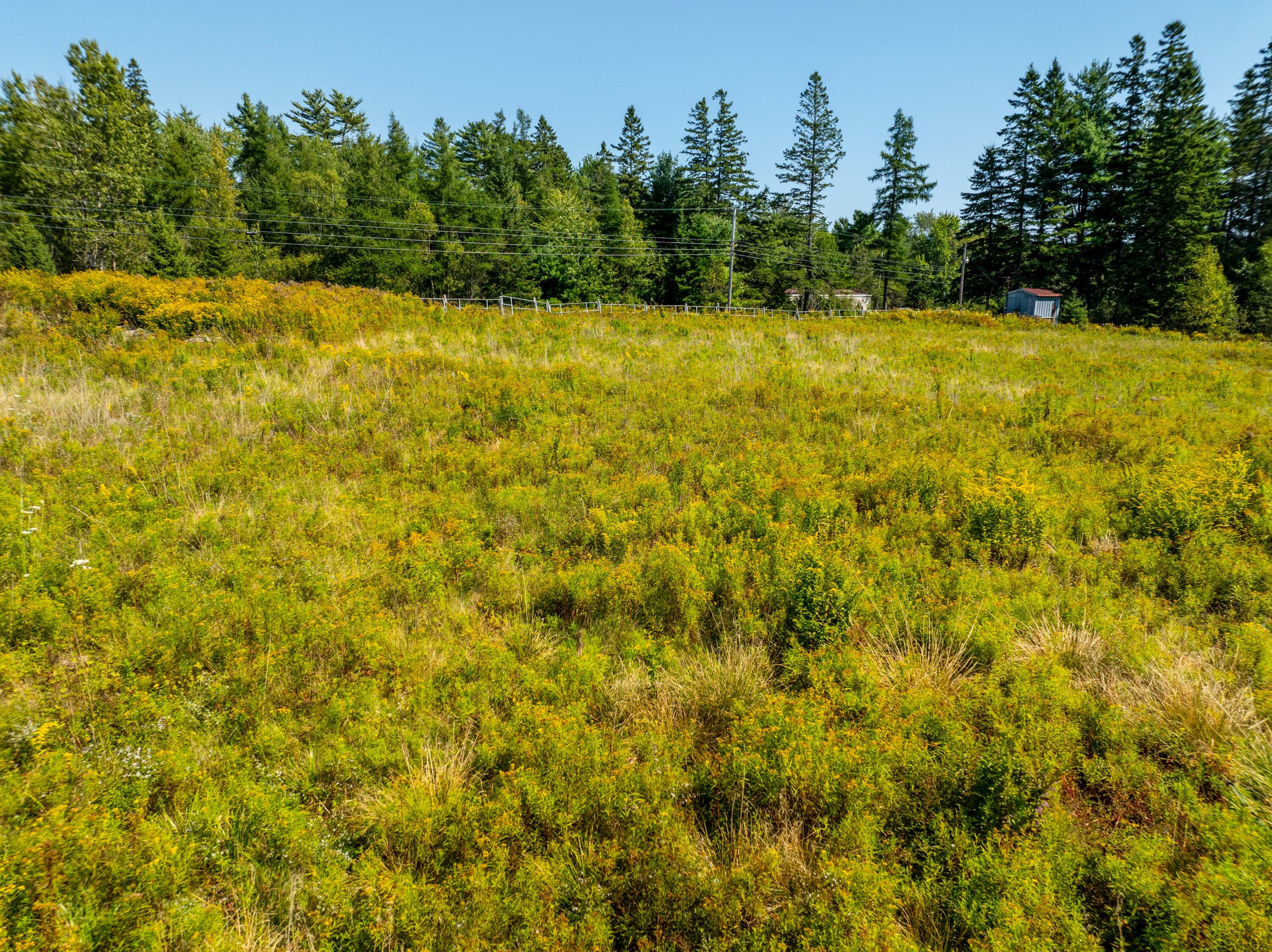 4 Map Road Machias, ME 04654 - Photo 12 of 36 Pasture Land lot Marshfield-18