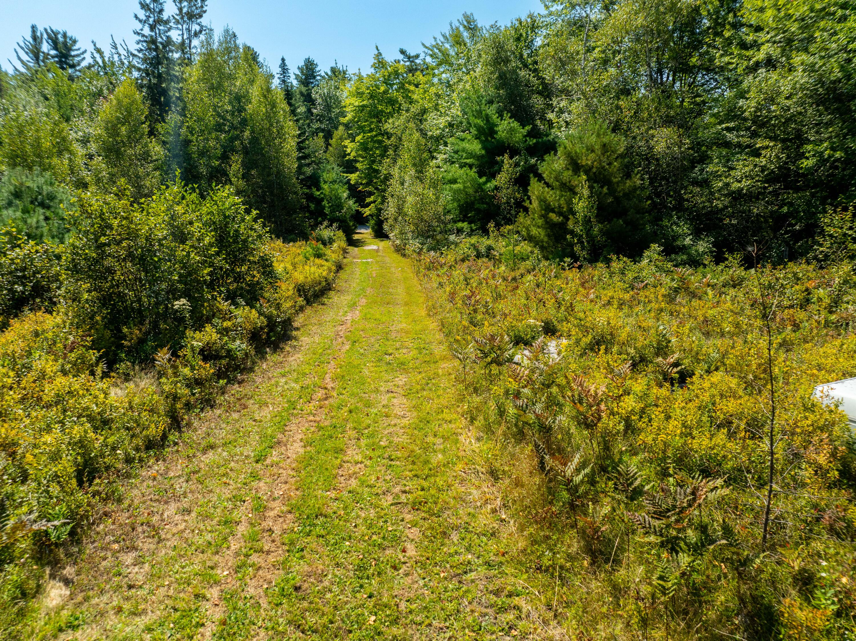 4 Map Road Machias, ME 04654 - Photo 16 of 36 Pasture Land lot Marshfield-26