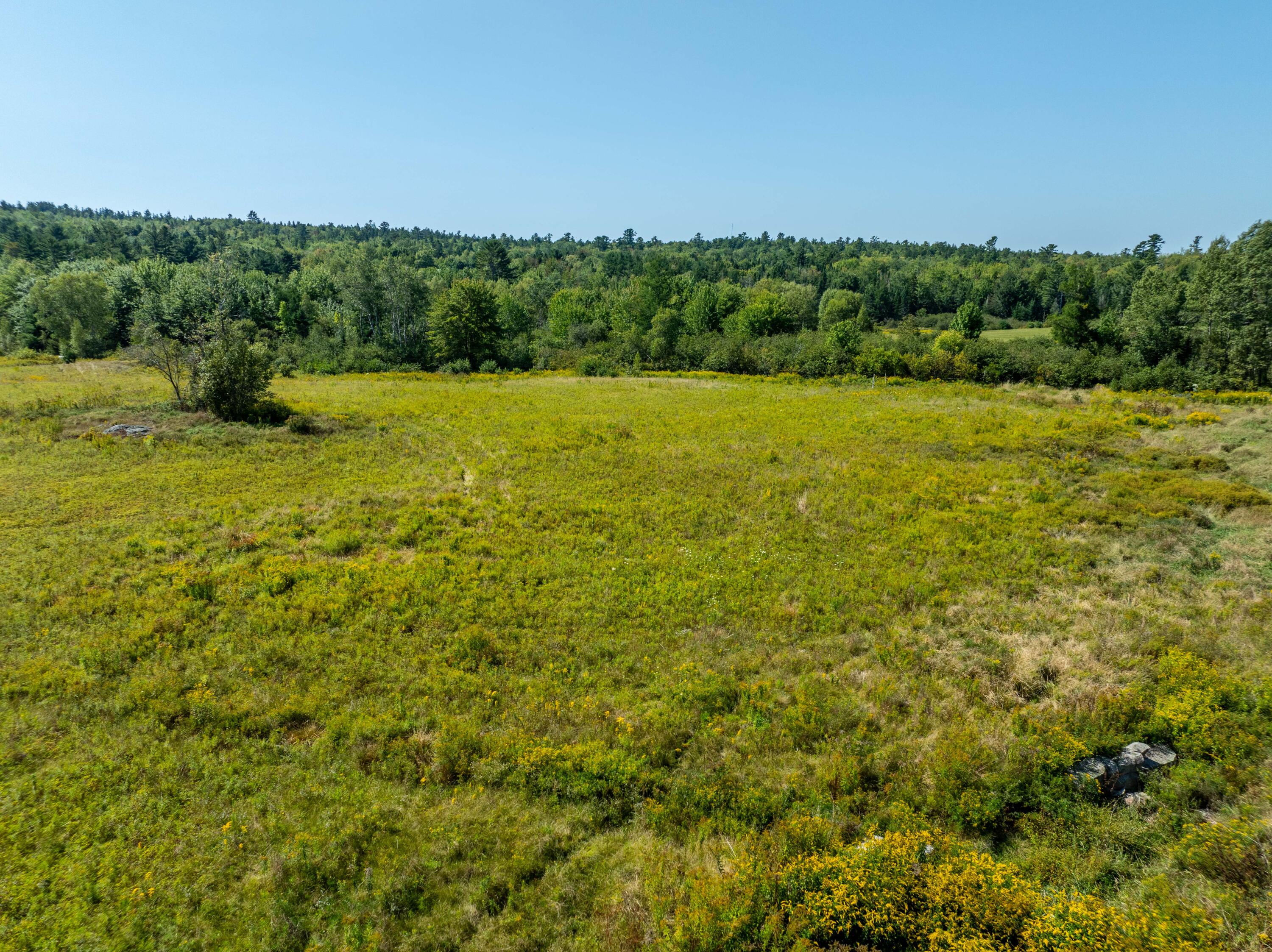 4 Map Road Machias, ME 04654 - Photo 10 of 36 Pasture Land lot Marshfield-16