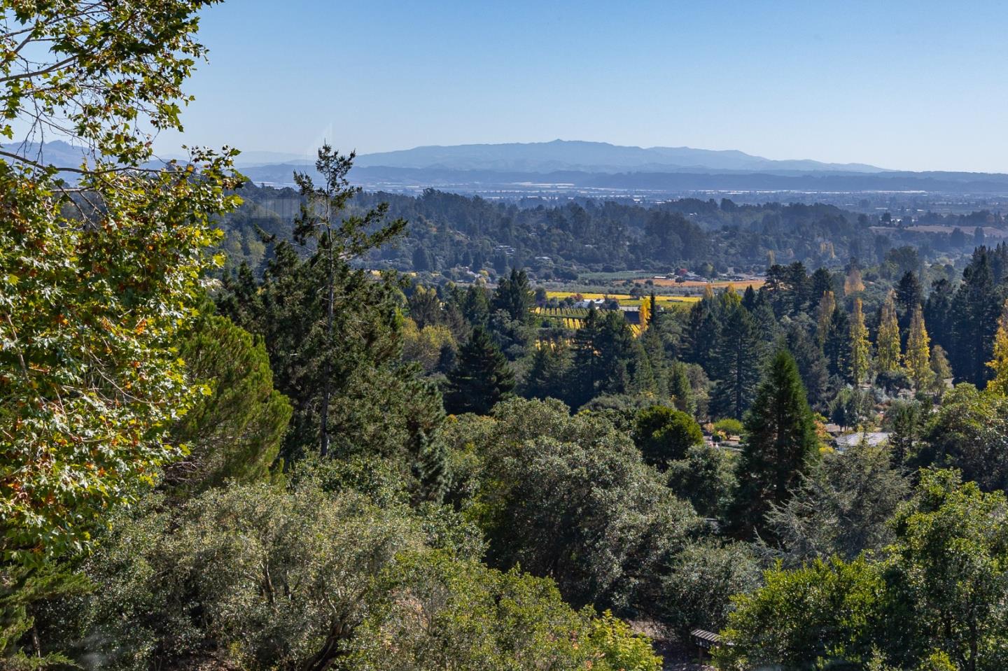 3200 Pleasant Valley Road Aptos, CA 95003 - Photo 25 of 49 Gallery Image 25