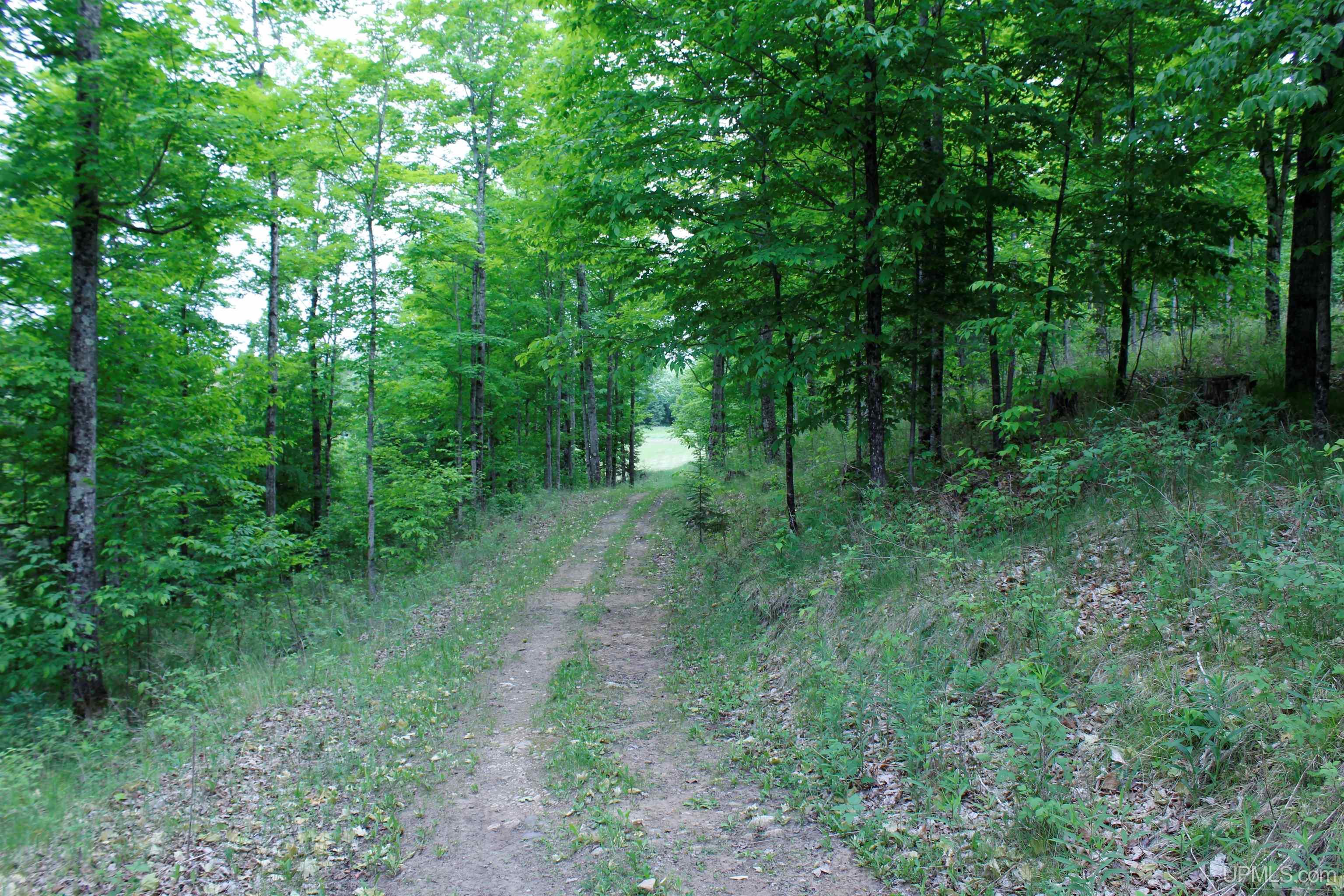 W2588 31 Lane Daggett, MI 49821 - Photo 39 of 58
