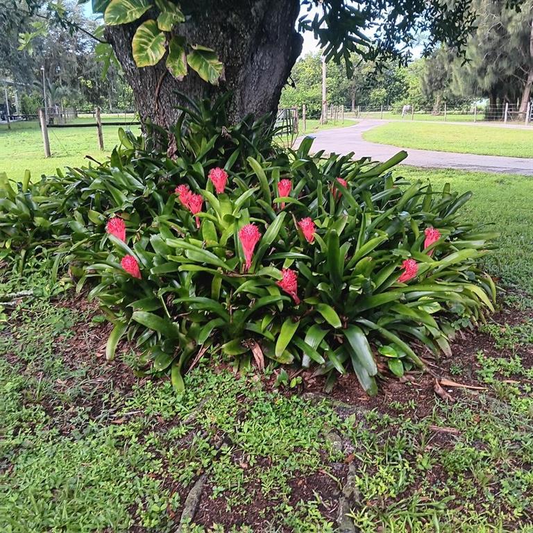 710 Evans Road LaBelle, FL 33935 - Photo 54 of 95