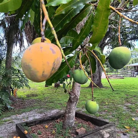 $850,000 | 710 Evans Road, LaBelle, FL 33935