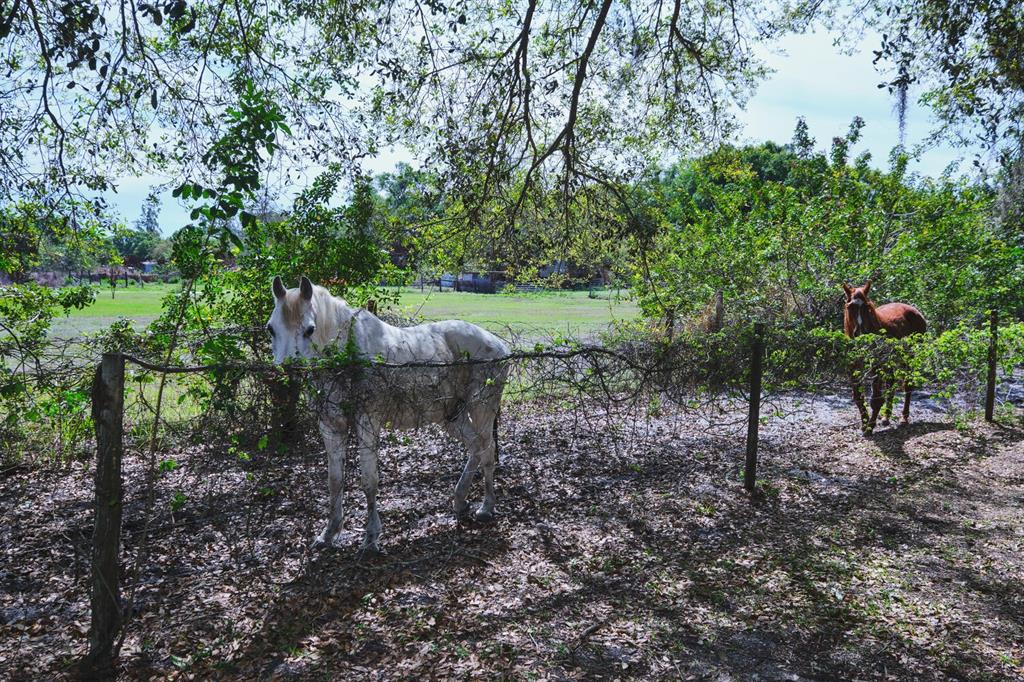 710 Evans Road LaBelle, FL 33935 - Photo 67 of 95