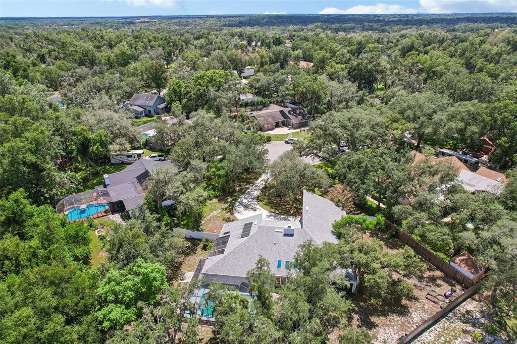 4603 Ridgecliff Drive Brandon, FL 33511 - Photo 61 of 62 Gallery Image 61