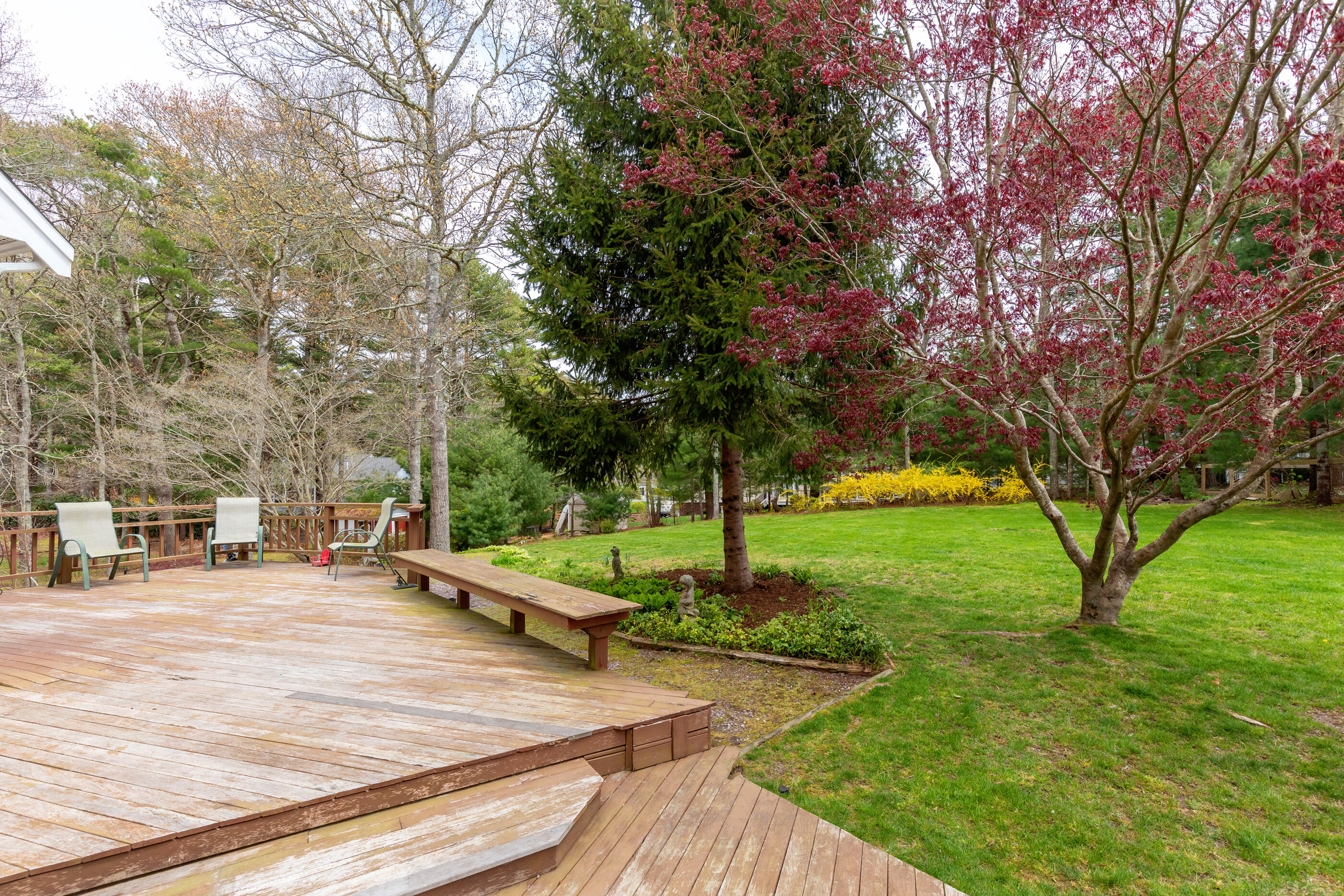 54 Roosevelt Road Cotuit, MA 02635 - Photo 42 of 45 15