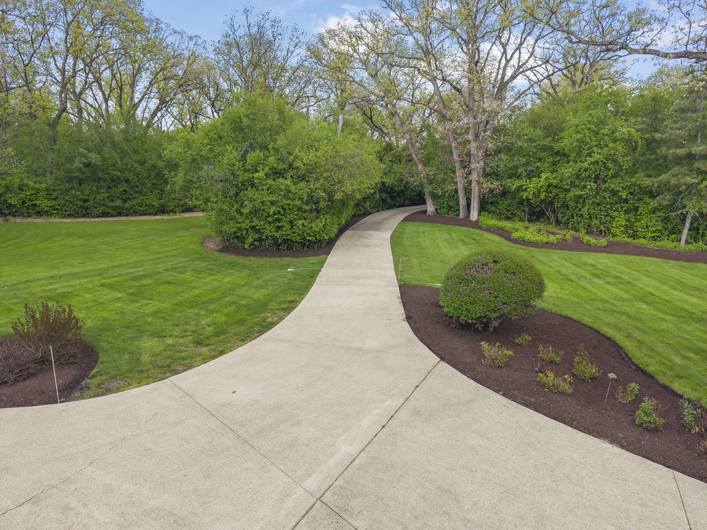 1S151 Winfield Road Wheaton, IL 60189 - Photo 68 of 73 a view of a park with large trees