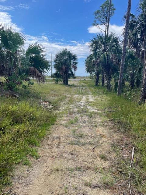 763-765 Indian Pass Road Port St. Joe, FL 32456 - Photo 27 of 35