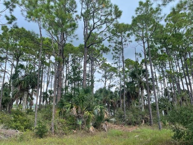 763-765 Indian Pass Road Port St. Joe, FL 32456 - Photo 28 of 35