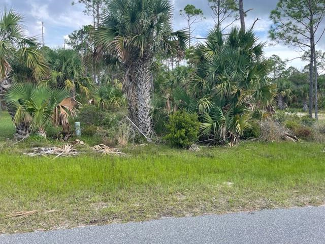 763-765 Indian Pass Road Port St. Joe, FL 32456 - Photo 8 of 35
