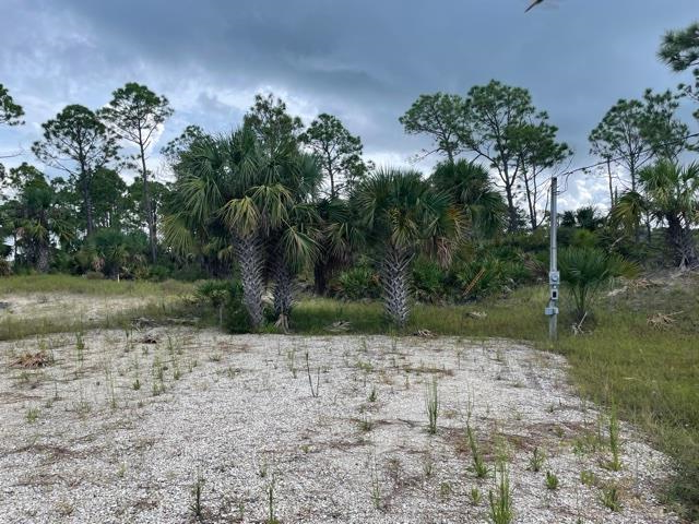 763-765 Indian Pass Road Port St. Joe, FL 32456 - Photo 9 of 35