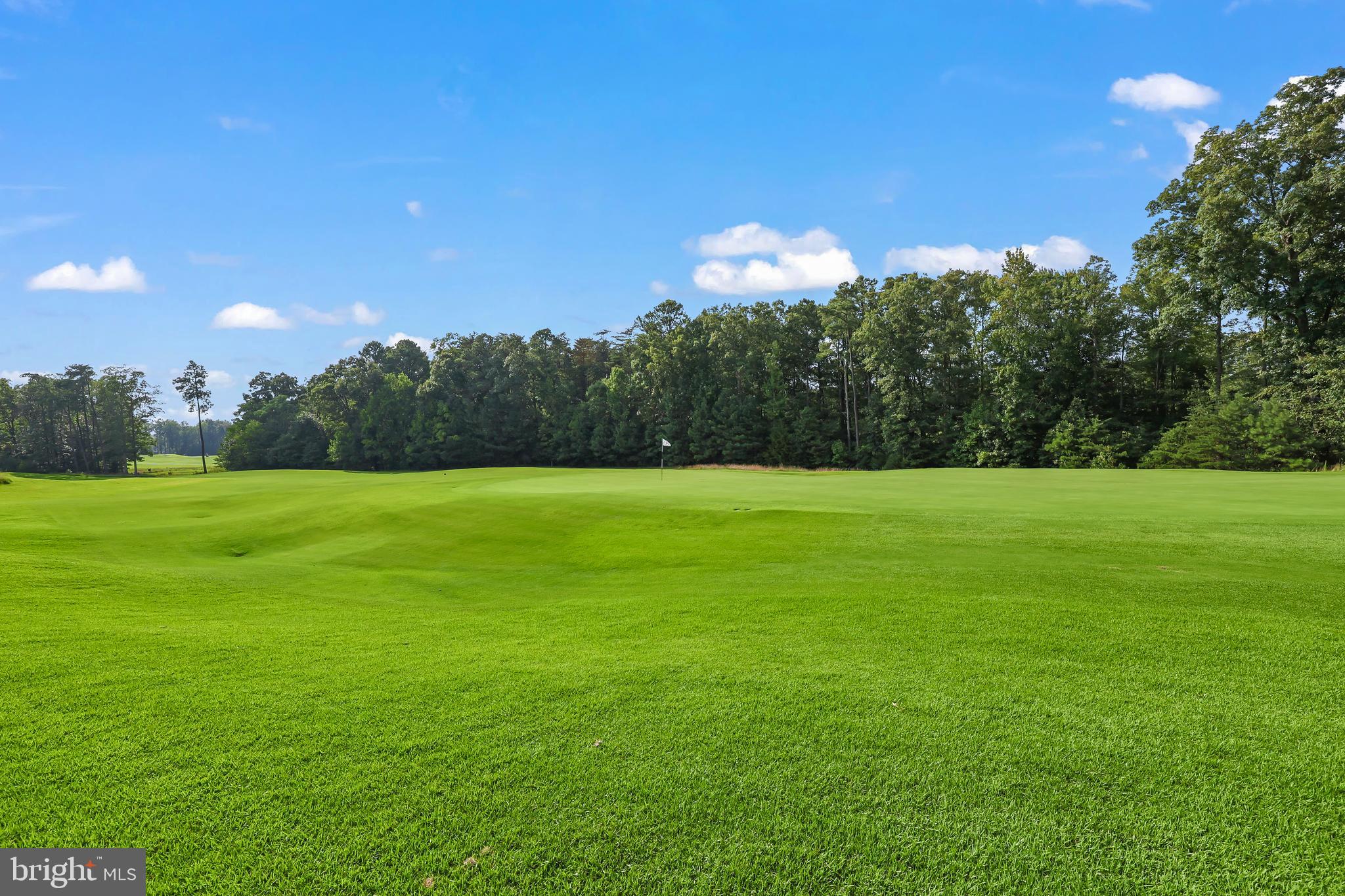 7139 State Way Ruther Glen, VA 22546 - Photo 46 of 50 Community golf course