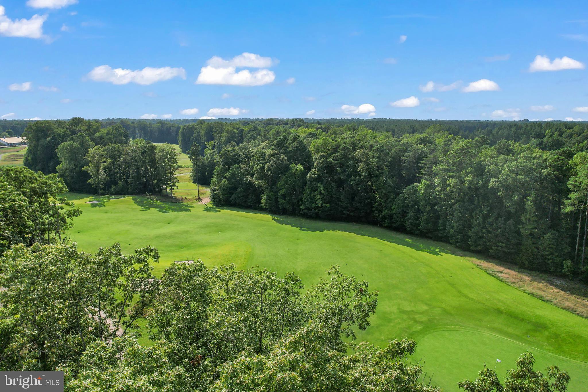 7139 State Way Ruther Glen, VA 22546 - Photo 47 of 50 Community golf course
