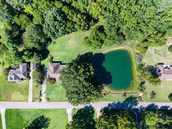 an aerial view of a house with a yard and plants