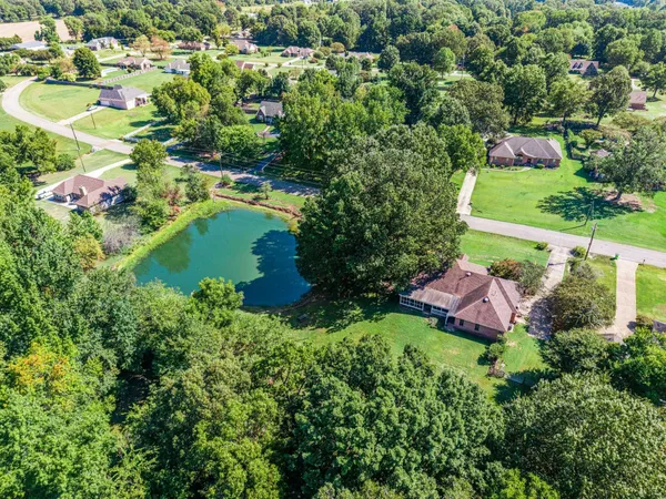 a view of a garden with a lake