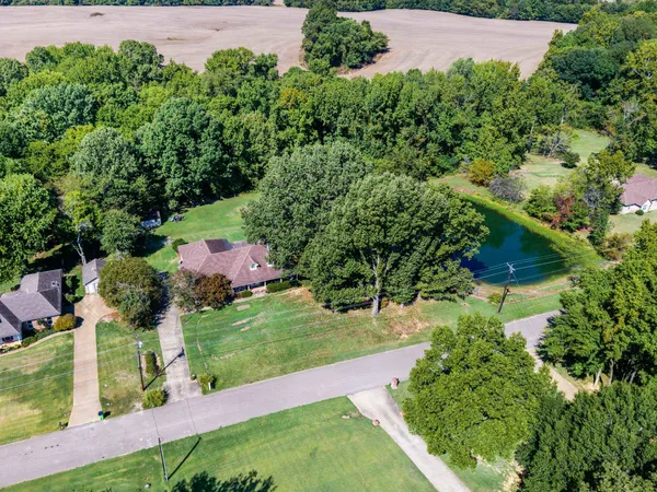 an aerial view of garden