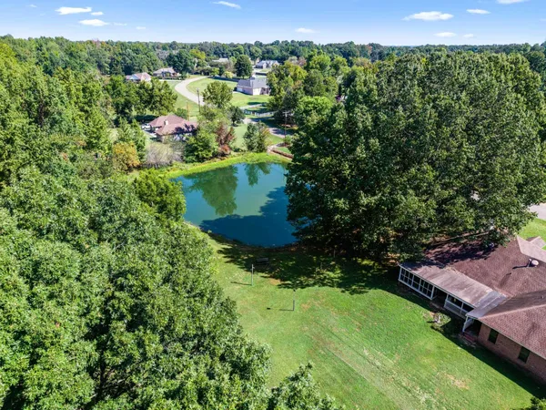 a view of a flower in a garden