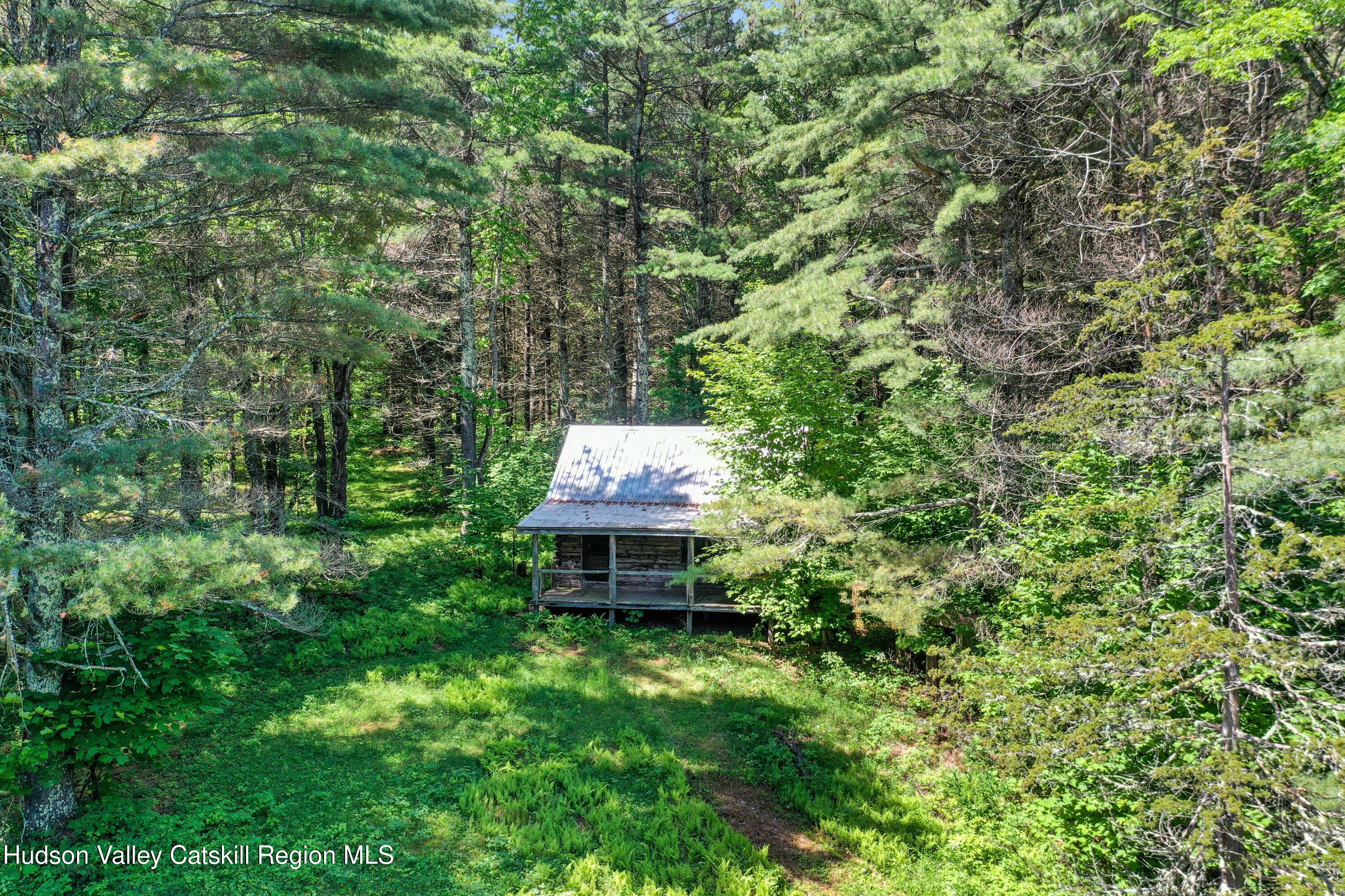 21 Long Road West Kill, NY 12492 - Photo 16 of 20 cabin at edge of state land