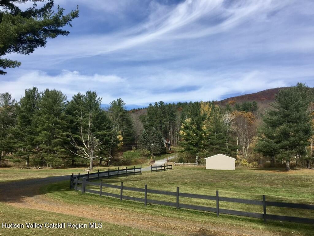 21 Long Road West Kill, NY 12492 - Photo 4 of 20 driveway approach