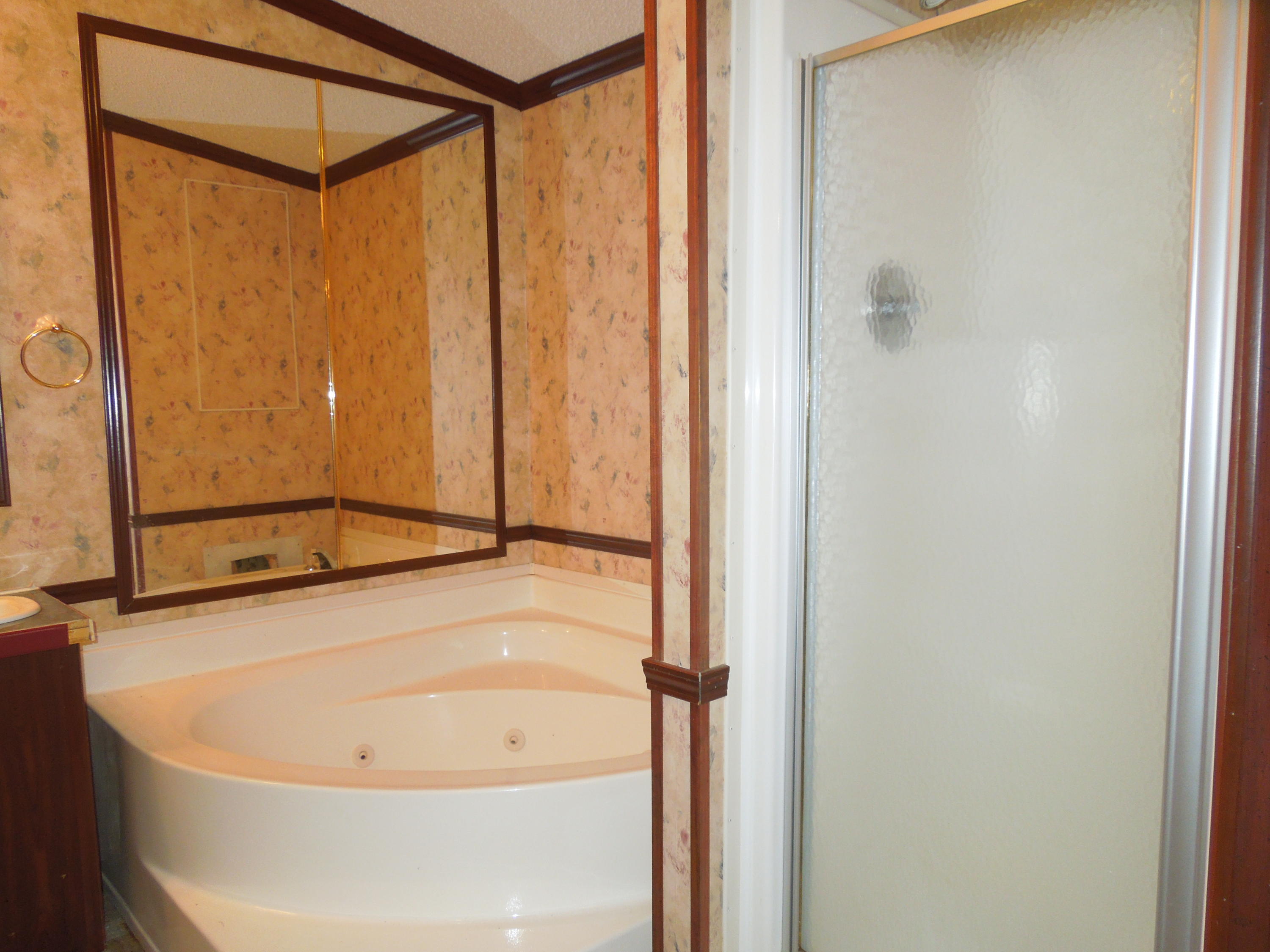 7522 Davis Mill Road Harrison, TN 37341 - Photo 17 of 36 Jetted tub and seperate shower