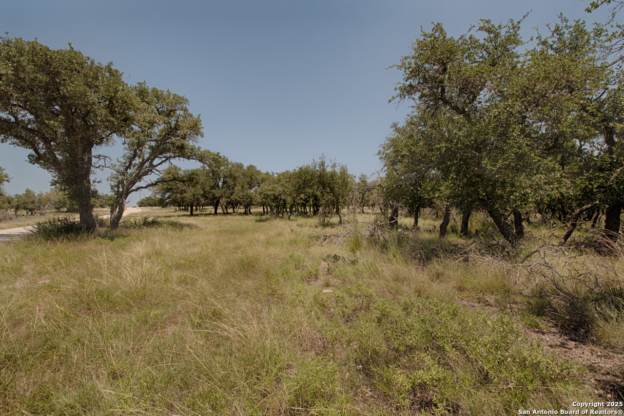 379 Bent Tree Lane Harper, TX 78631 - Photo 2 of 7 a view of a yard with a tree