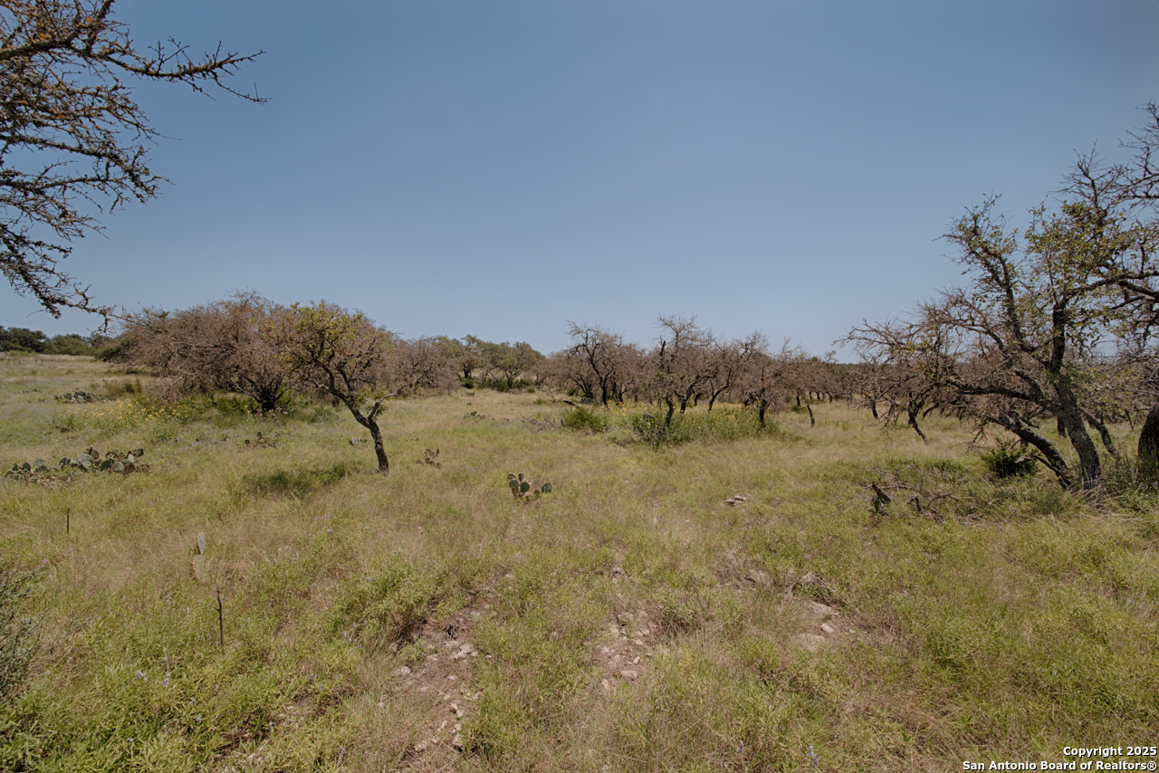 379 Bent Tree Lane Harper, TX 78631 - Photo 5 of 7 a view of a field with trees in background