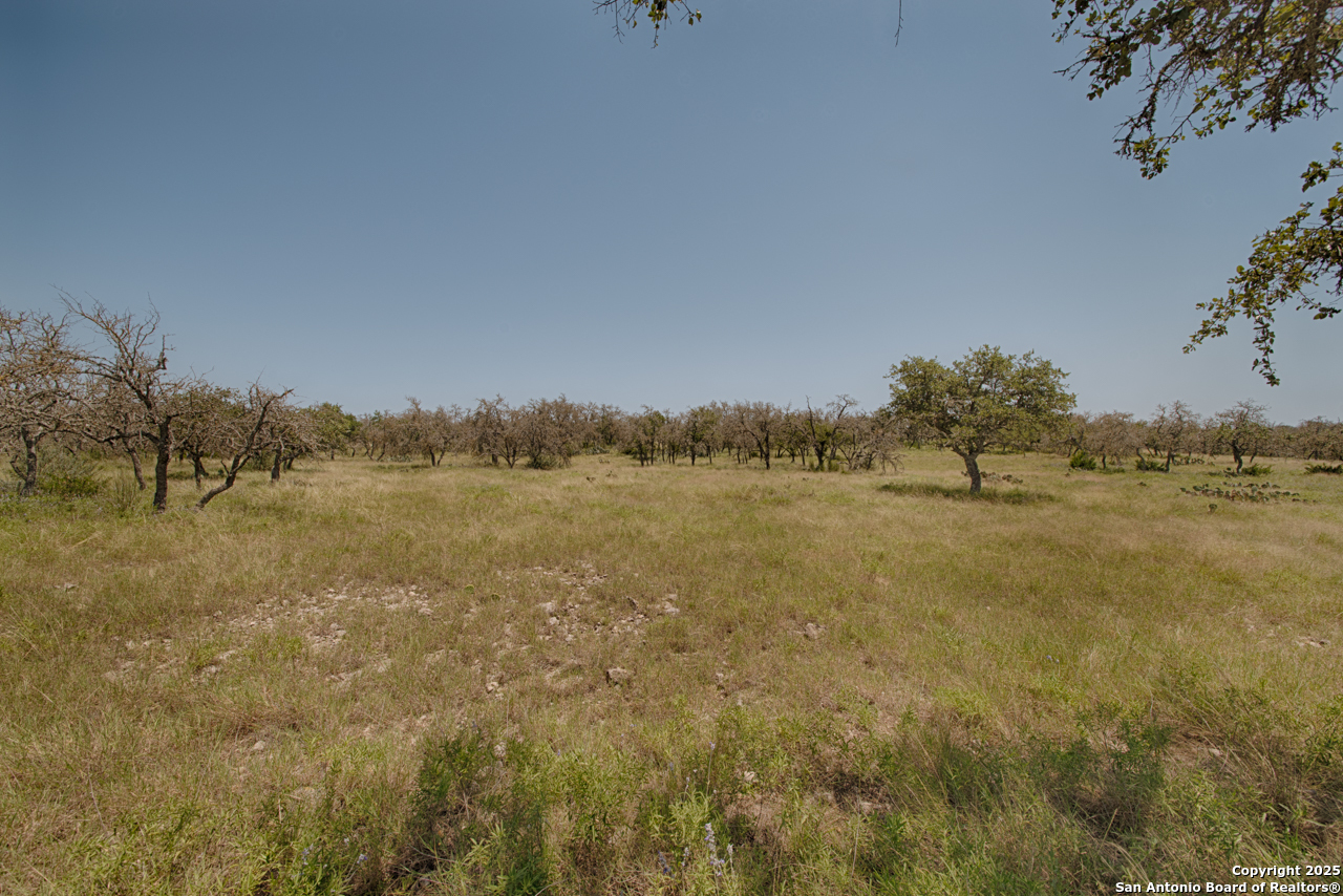379 Bent Tree Lane Harper, TX 78631 - Photo 6 of 7 a view of a lake with houses