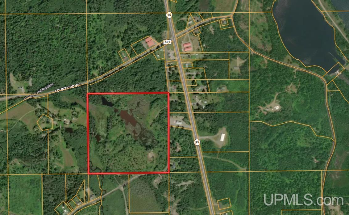 9535 Walstroms Road Republic, MI 49879 - Photo 35 of 37