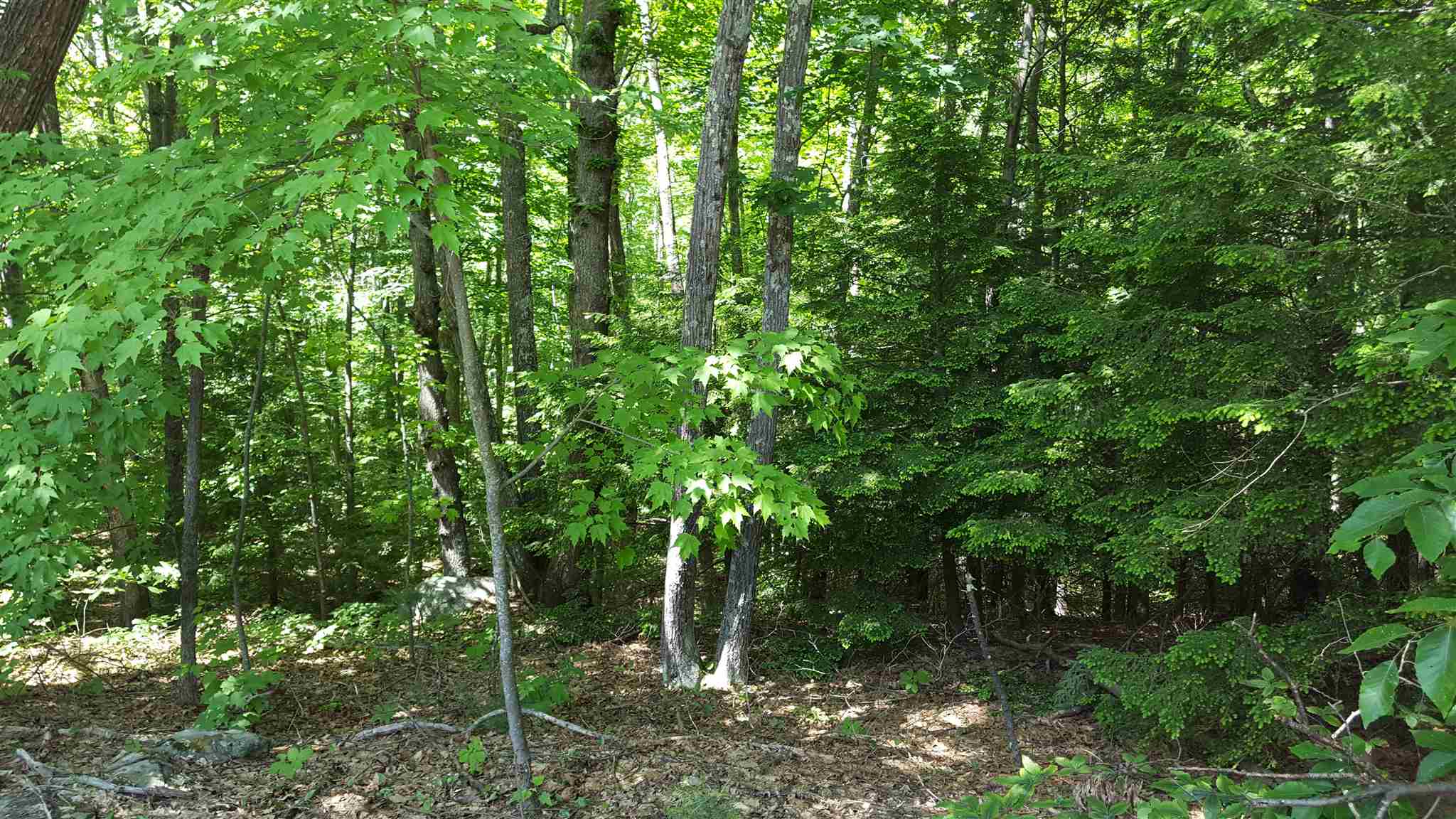 61 N Road Kingston, NH 03848 - Photo 3 of 5