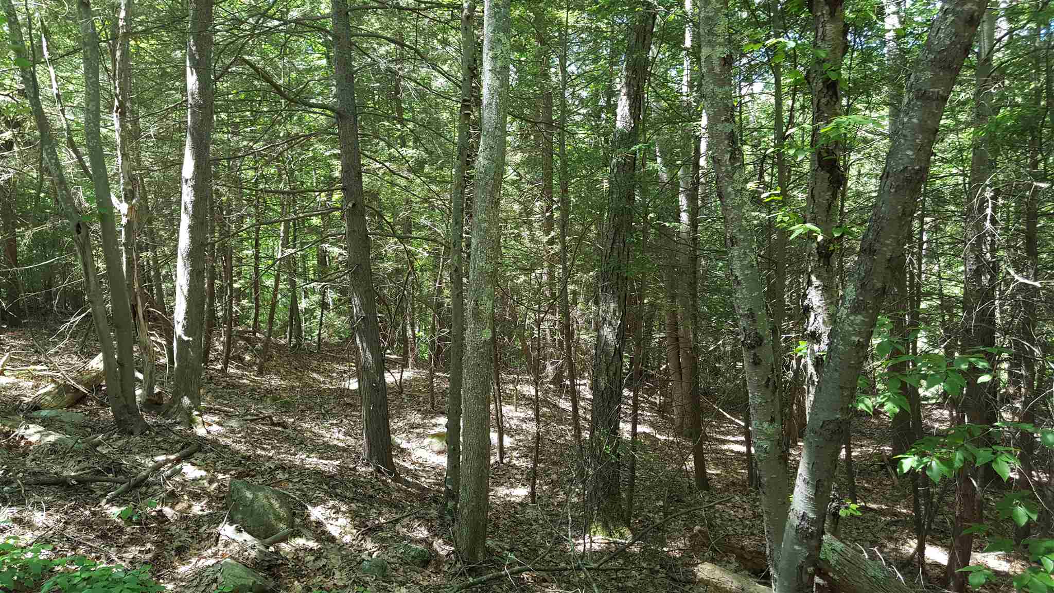 61 N Road Kingston, NH 03848 - Photo 4 of 5
