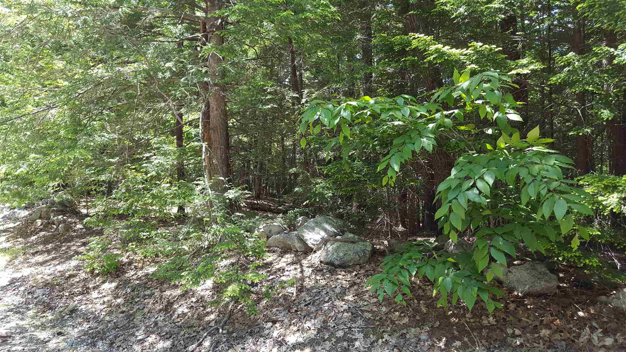 61 N Road Kingston, NH 03848 - Photo 5 of 5