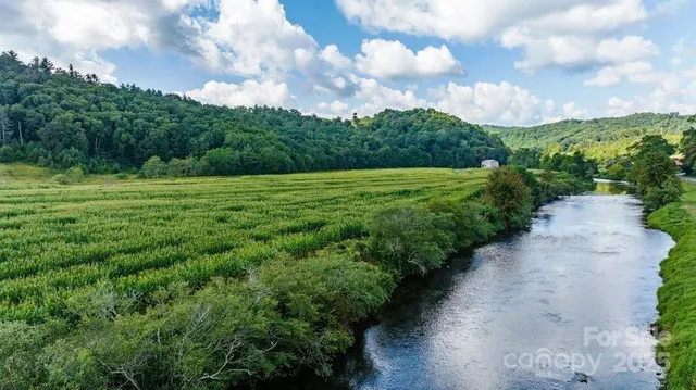 a view of a pathway both side of green field