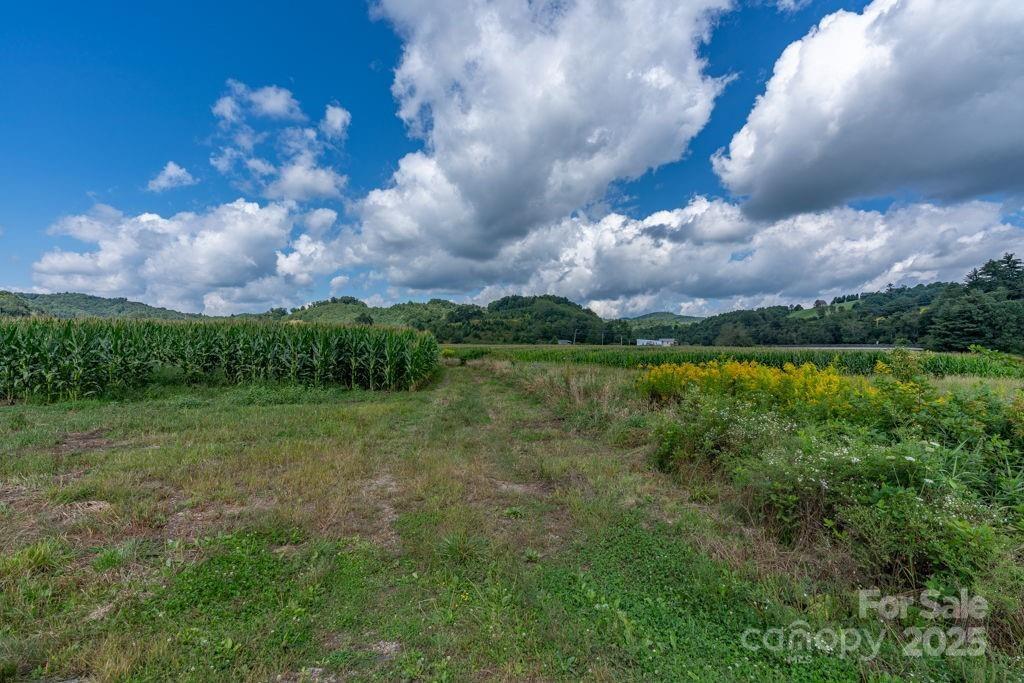 Tbd Cranberry Springs Road Deep Gap, NC 28618 - Photo 6 of 19 Gallery Image 6