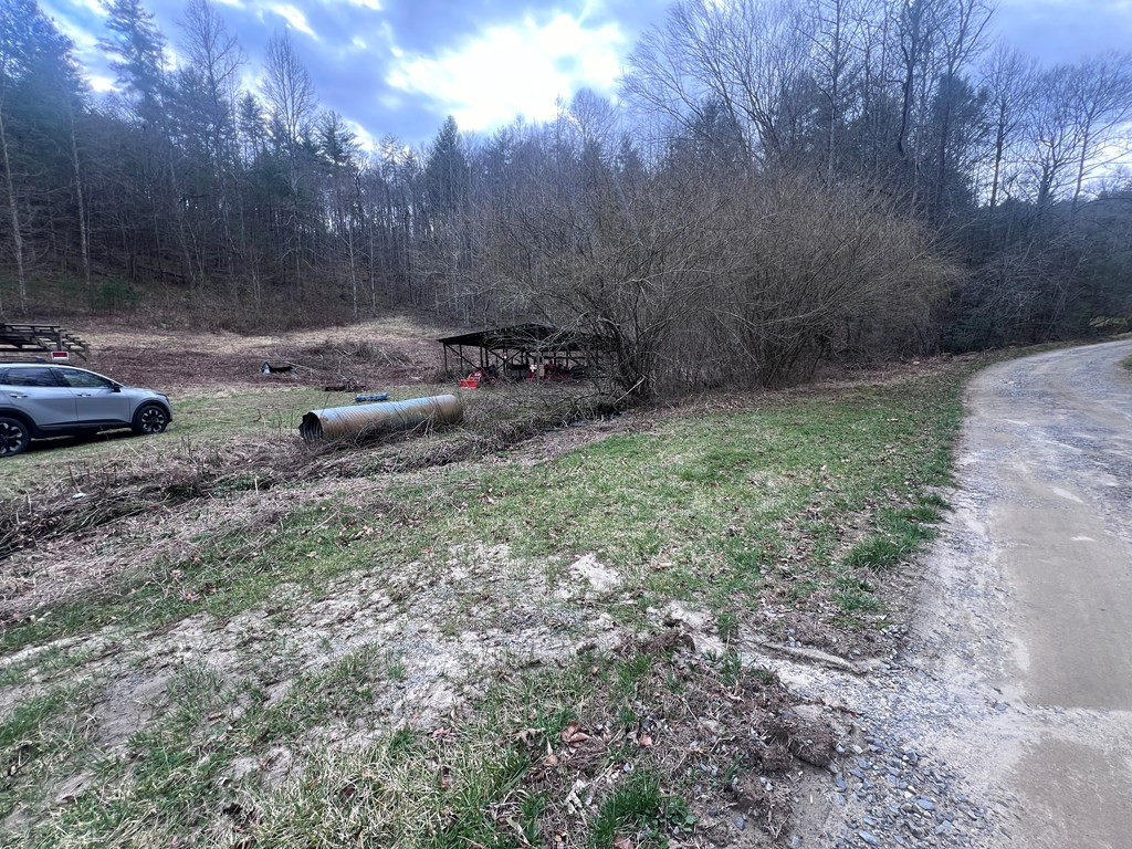 1-2 Graves Road Murphy, NC 28906 - Photo 3 of 12
