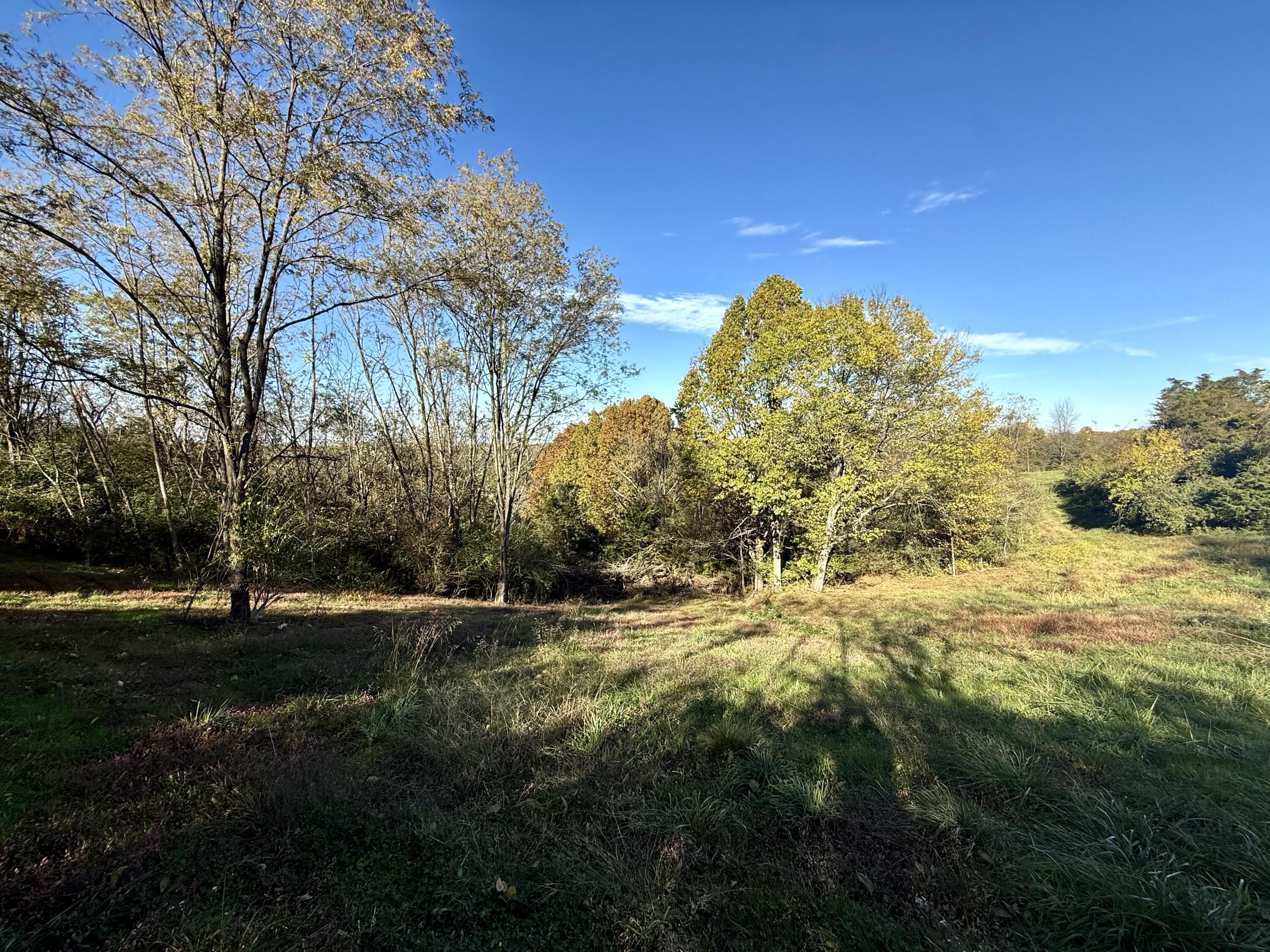 929 Fisher Road Foster, KY 41043 - Photo 8 of 49
