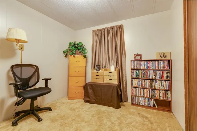 a living room with a couch and a potted plant