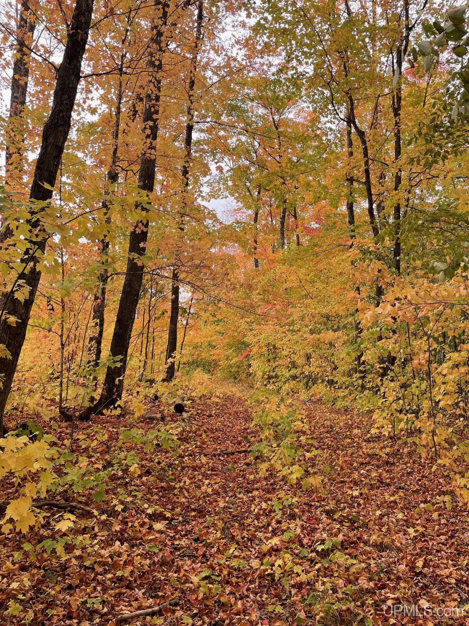 Tbd Gold Mine Lake Road Ishpeming, MI 49849 - Photo 4 of 10