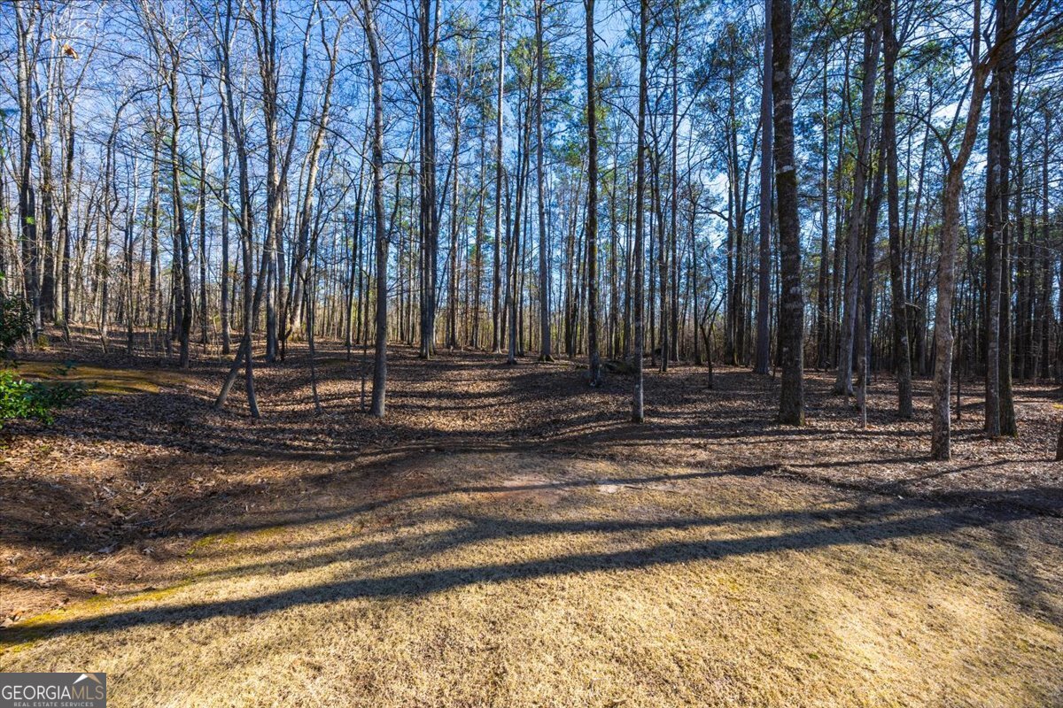 242 Pebblebrook Lane Macon, GA 31220 - Photo 38 of 45 a view of a backyard with trees