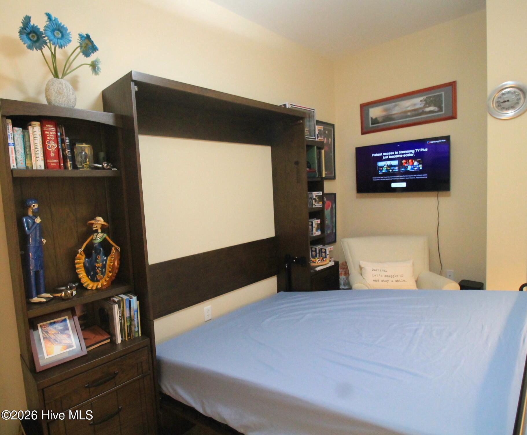 423 West Main Street, Unit 301 Washington, NC 27889 - Photo 22 of 40 murphy bed