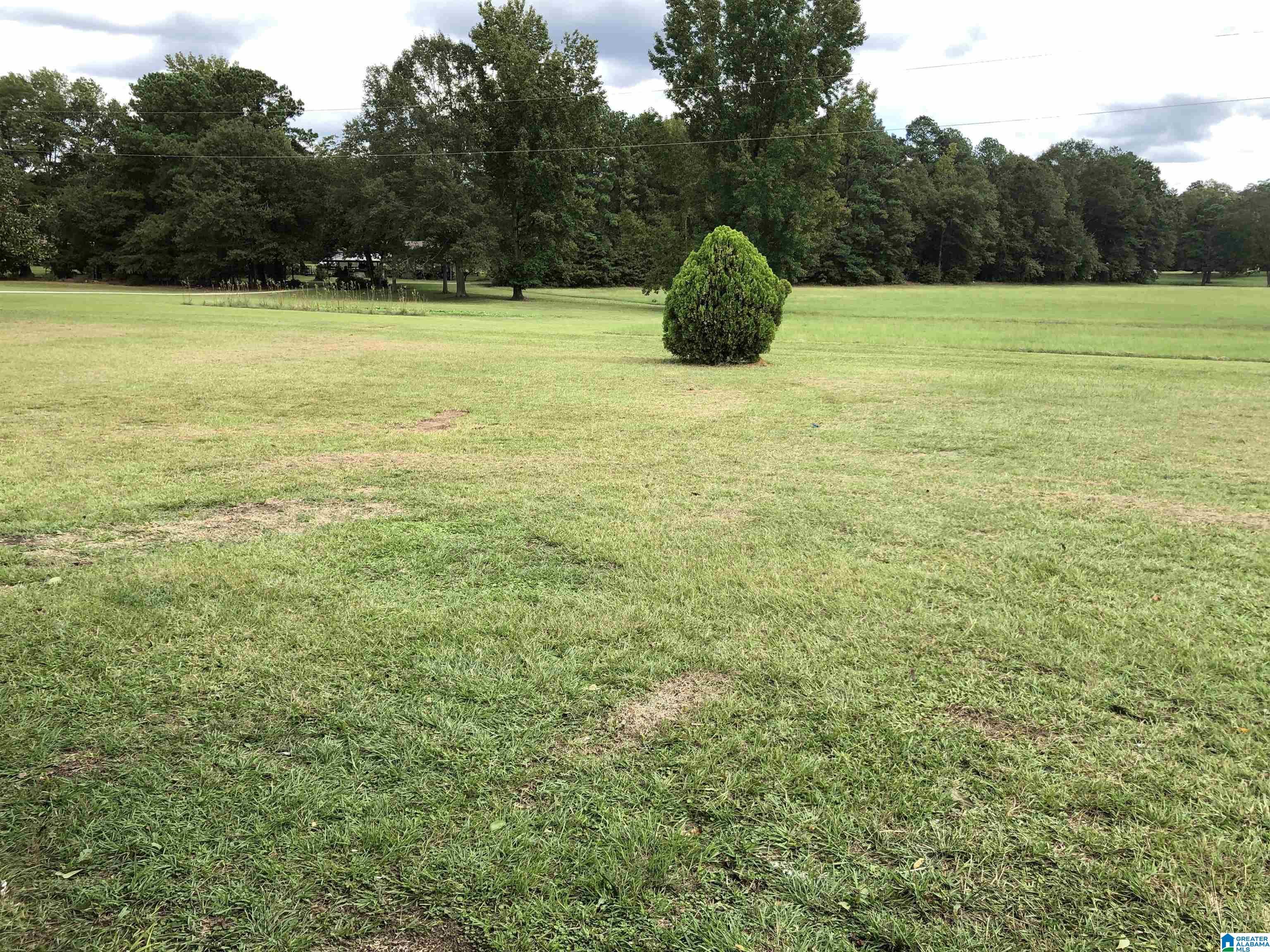 200 Friendship Road Clanton, AL 35045 - Photo 26 of 30