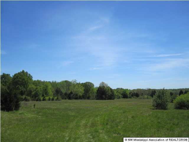 320 Red Hills Road Byhalia, MS 38611 - Photo 1 of 30 Primary Photo